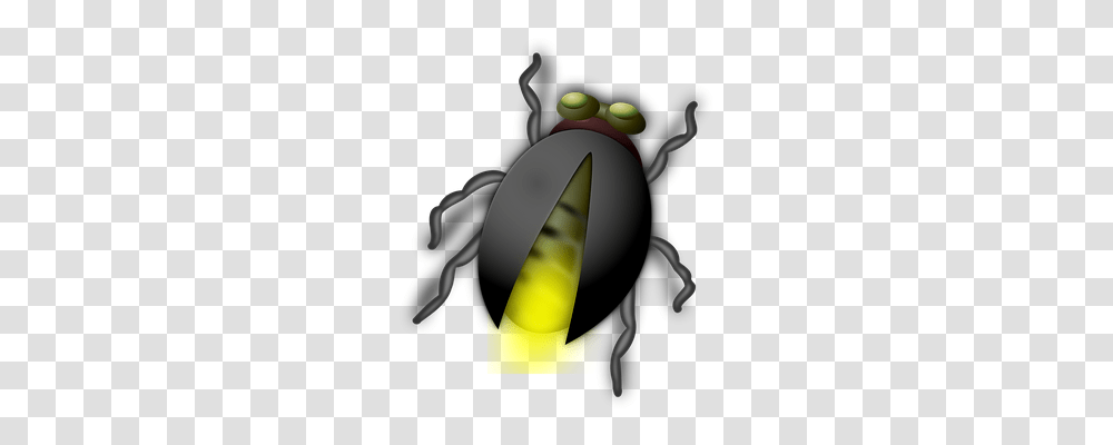Glow Worm Animals, Invertebrate, Insect, Firefly Transparent Png