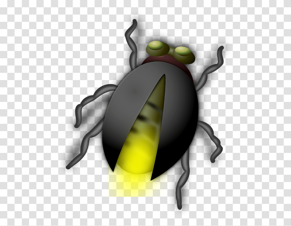 Glow Worm Glowworm Bug Autumn Family Programs Powerpoint, Insect, Invertebrate, Animal, Dung Beetle Transparent Png