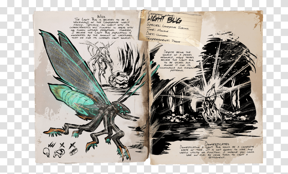 Glowbug Ark, Bird, Animal, Book Transparent Png