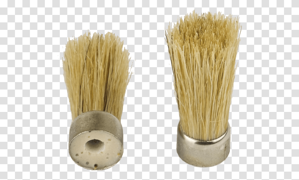 Glue Spreader Brush For Pumps Carpenter Pencil, Plant, Tool, Food, Anther Transparent Png