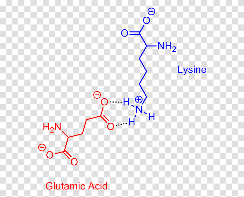 Glutamic Acid Lysine Salt Bridge Lysine Aspartic Acid Salt Bridge, Number, Plot Transparent Png