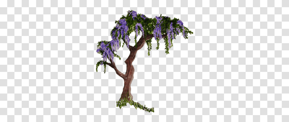 Glycine Wisteria Paintinglounge Lovely, Plant, Tree, Vegetation, Bush Transparent Png