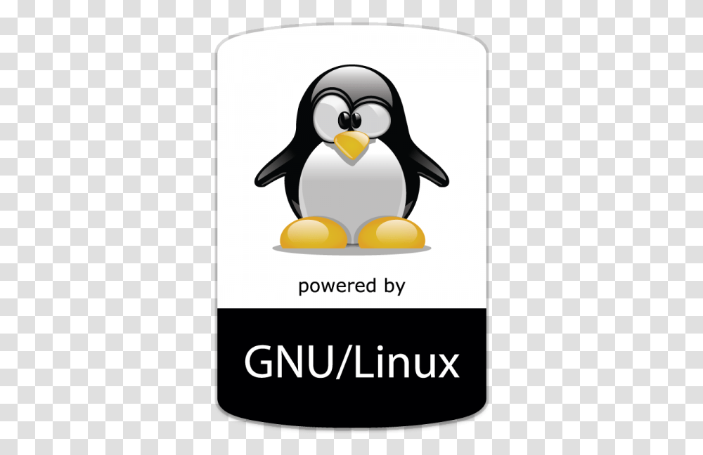 Gnu Linux Logo, Bird, Animal, Penguin, King Penguin Transparent Png