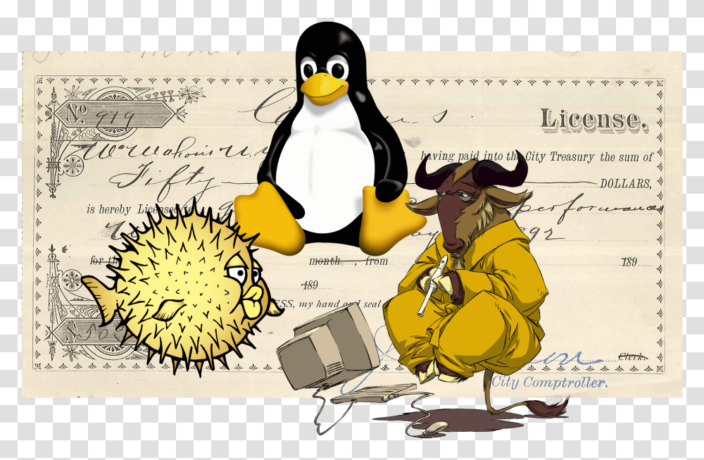 Gnu Linux, Penguin, Bird, Animal, Person Transparent Png