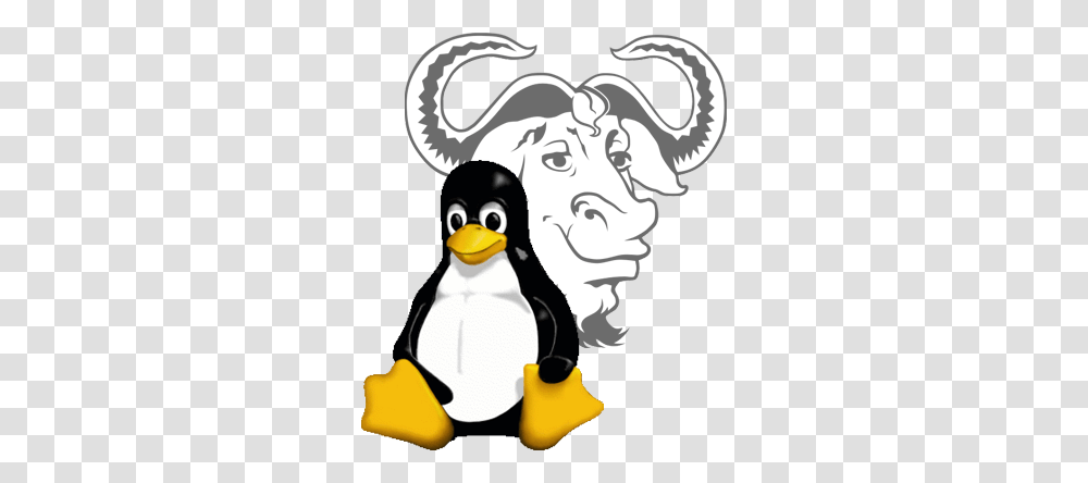 Gnulinux, Bird, Animal, Penguin, Head Transparent Png