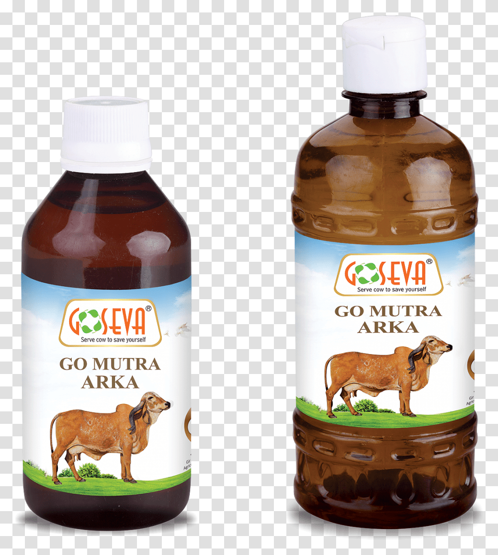 Go Ark, Label, Food, Syrup Transparent Png