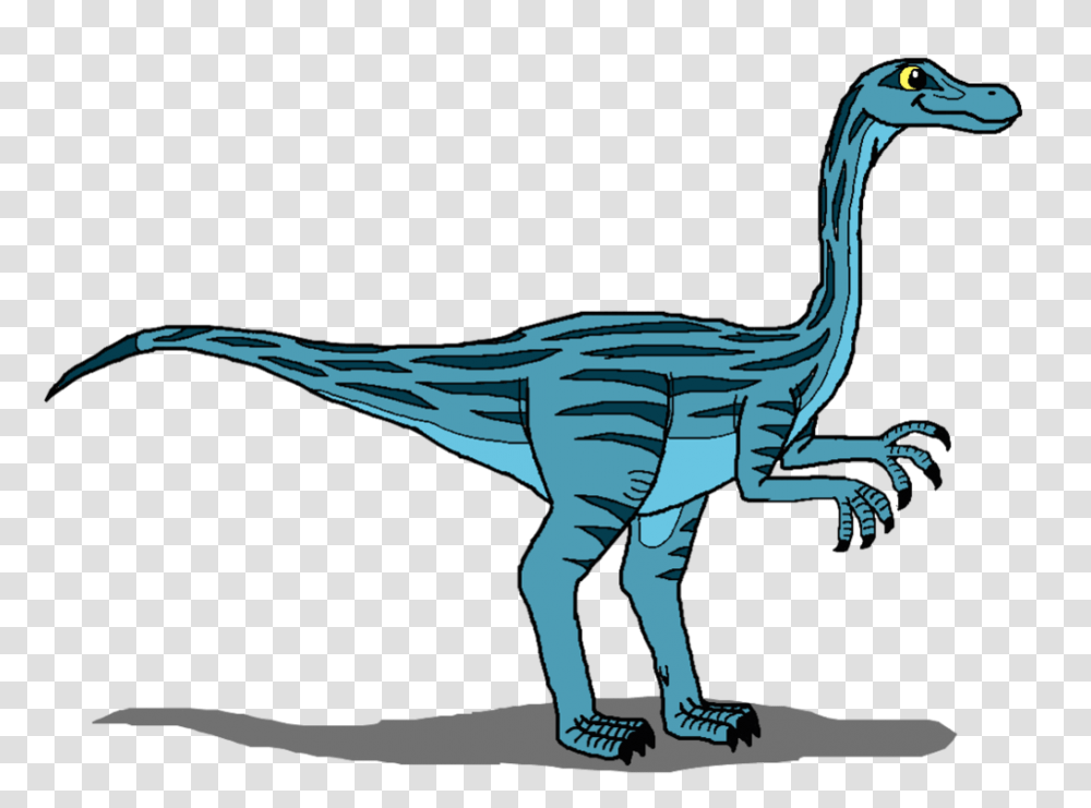 Go Denver Broncos Clipart, Dinosaur, Reptile, Animal, Bird Transparent Png