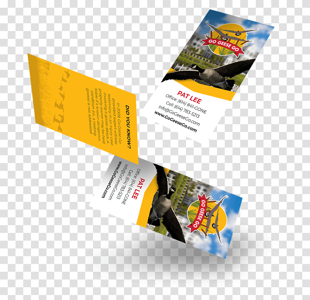 Go Geese Go Flyer, Poster, Paper, Advertisement, Brochure Transparent Png