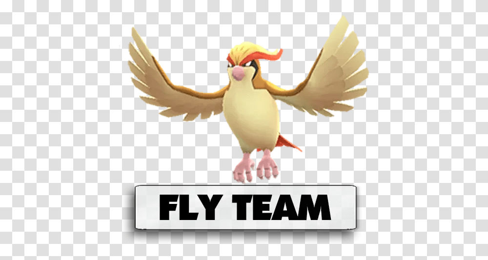 Go Indaiatuba 2 Pidgey Pokemon, Bird, Animal, Logo, Symbol Transparent Png