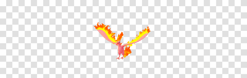Go Moltres Raid Guide For September Imore, Acrobatic, Leisure Activities, Dance, Flying Transparent Png