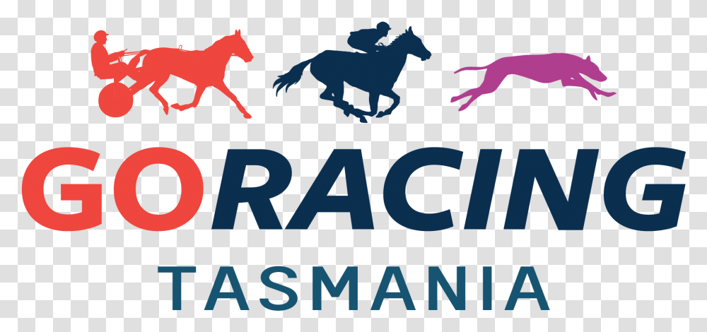 Go Racing TasmaniaWidth, Word, Alphabet, Poster Transparent Png