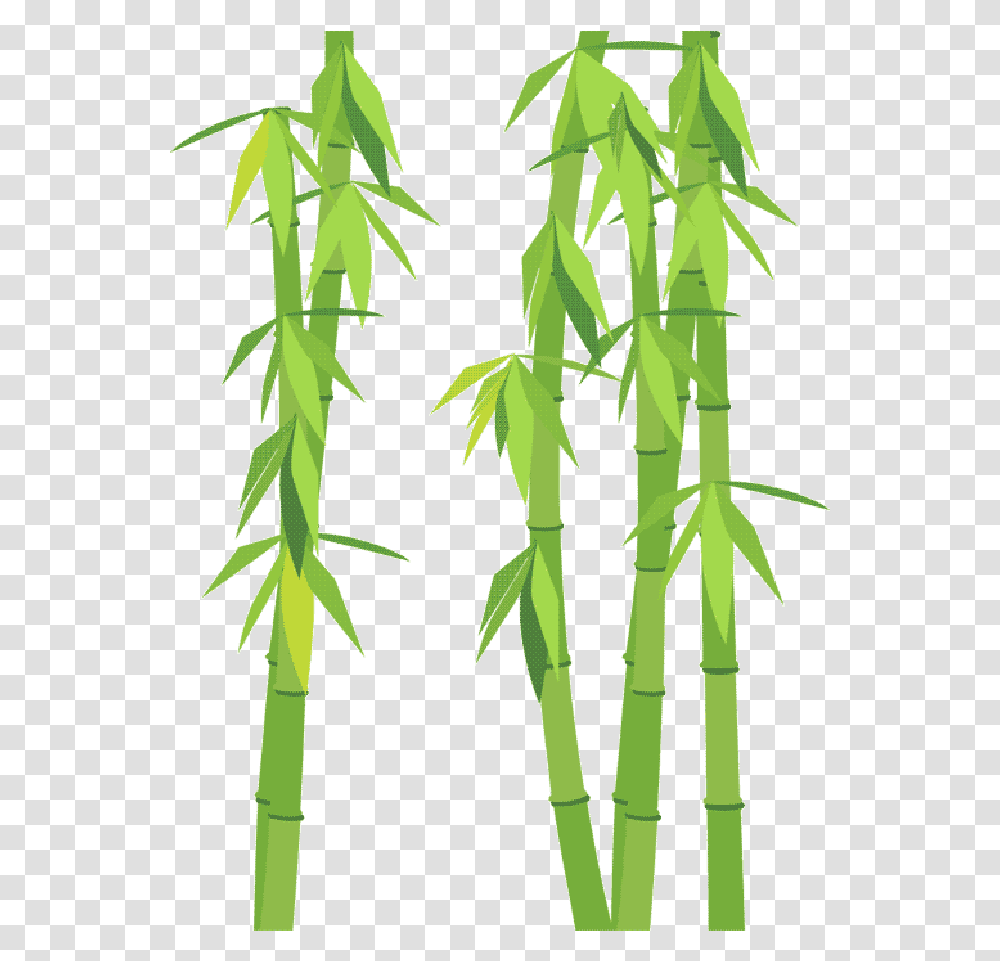 Go To Image Bambou, Plant, Bamboo Transparent Png
