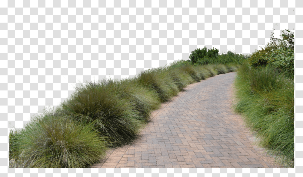 Go To Image Dirt Road, Path, Walkway, Vegetation, Plant Transparent Png
