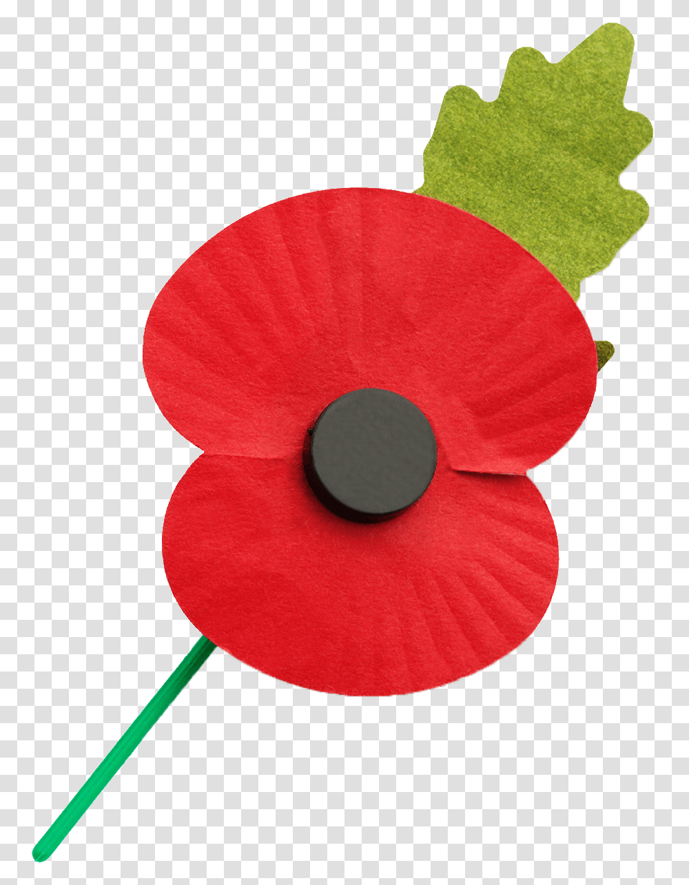 Go To Image, Plant, Flower, Blossom, Poppy Transparent Png