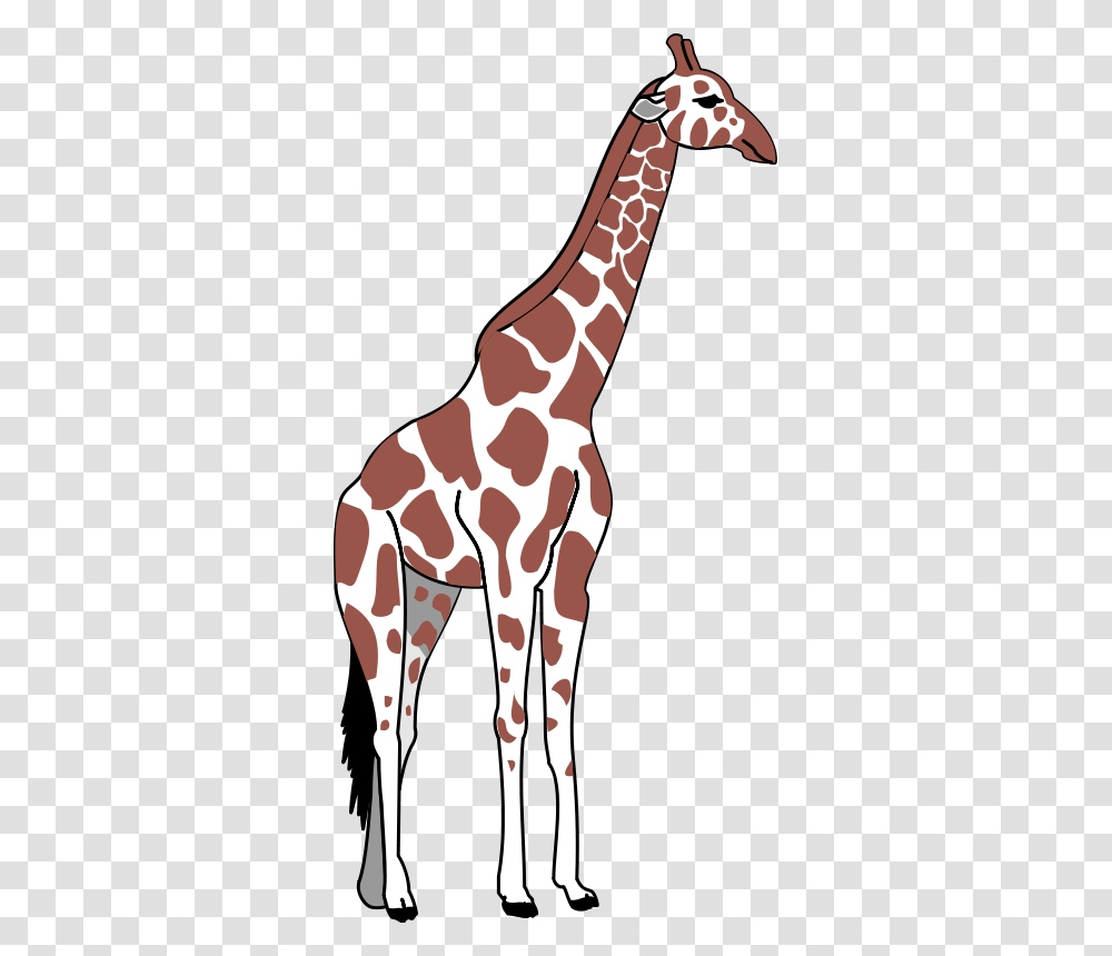 Goal Giraffe Clip Art Free, Wildlife, Mammal, Animal, Person Transparent Png