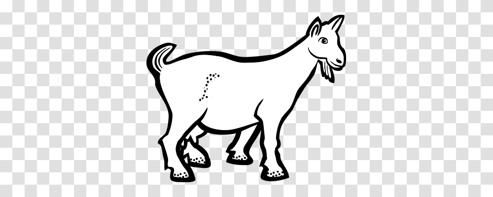 Goat Animals, Mammal, Horse, Donkey Transparent Png