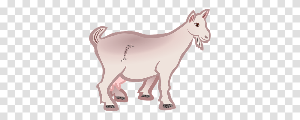 Goat Animals, Mammal, Horse, Mountain Goat Transparent Png