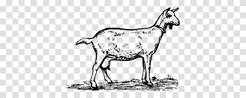 Goat Technology, Gray, World Of Warcraft Transparent Png