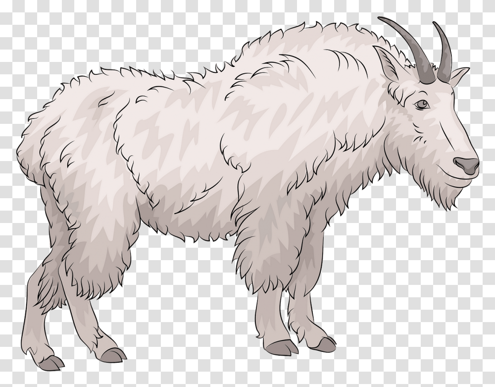 Goat, Animal, Mammal, Wildlife, Canine Transparent Png