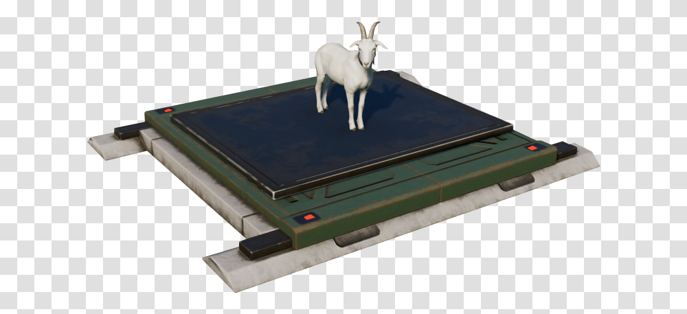 Goat, Antelope, Wildlife, Mammal, Animal Transparent Png