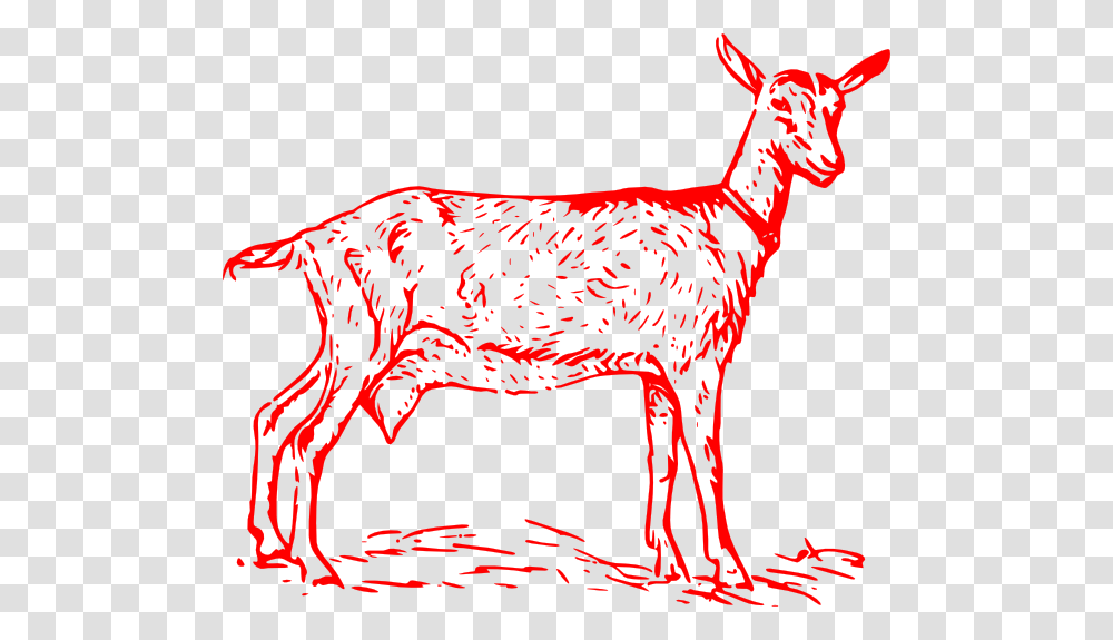 Goat Black And White Clip Art, Deer, Wildlife, Mammal, Animal Transparent Png