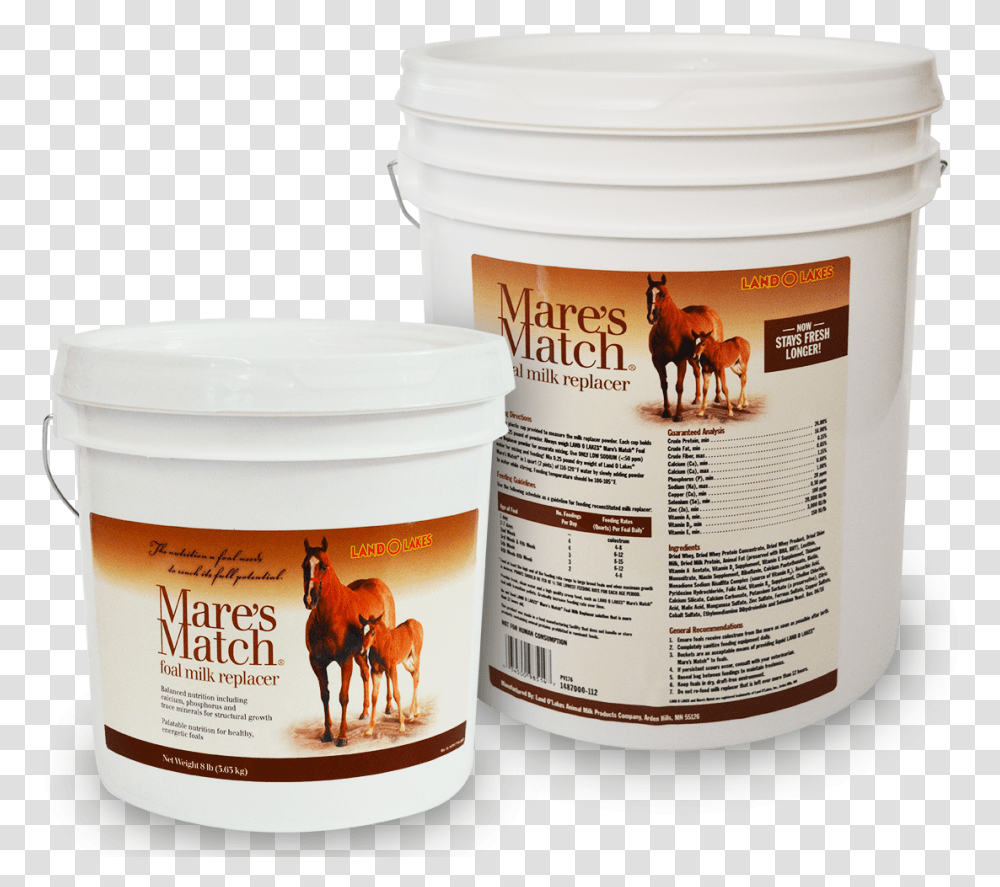 Goat, Bucket, Paint Container, Horse, Mammal Transparent Png