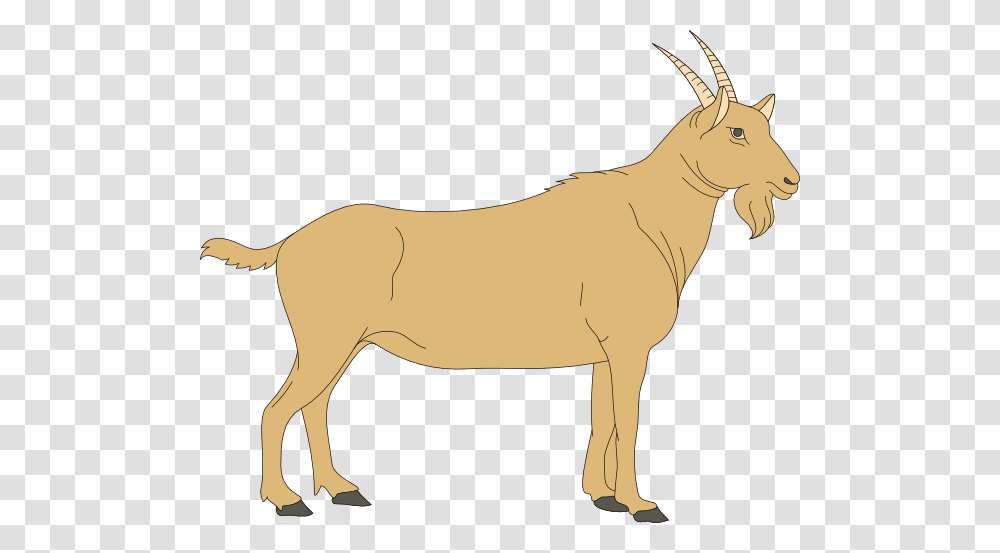 Goat Clipart, Antelope, Wildlife, Mammal, Animal Transparent Png