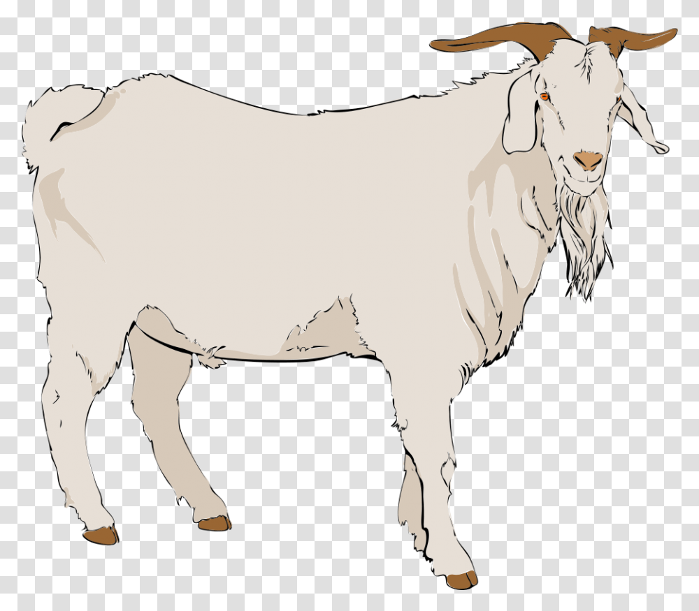 Goat Clipart Background Goat Clipart Background, Mammal, Animal, Mountain Goat, Wildlife Transparent Png