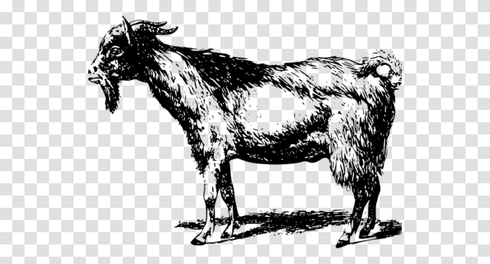 Goat Clipart Kambing Bakra Black And White, Gray, World Of Warcraft Transparent Png