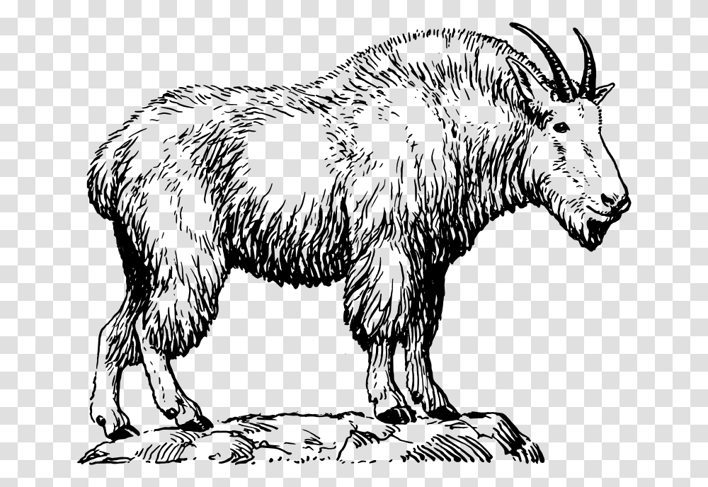 Goat Clipart Madden Mobile Different Types Of Animal Fibres, Gray, World Of Warcraft Transparent Png