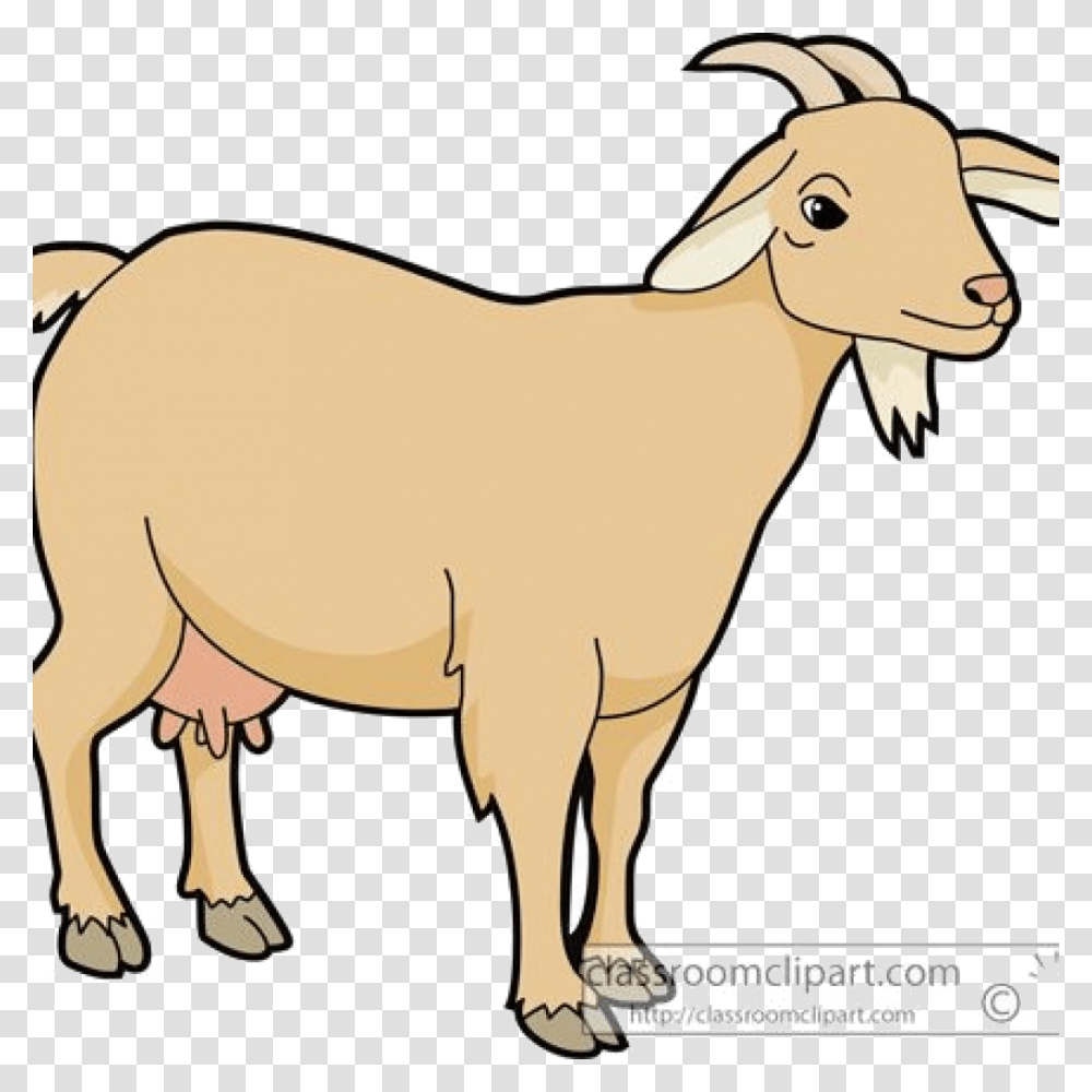 Goat Clipart To Clipartcow Goats Clipart Image Of Goat, Mammal, Animal, Horse, Mountain Goat Transparent Png