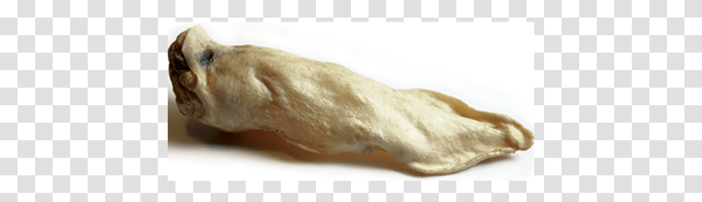 Goat Ears For Dogs, Food, Plant, Bread, Dough Transparent Png