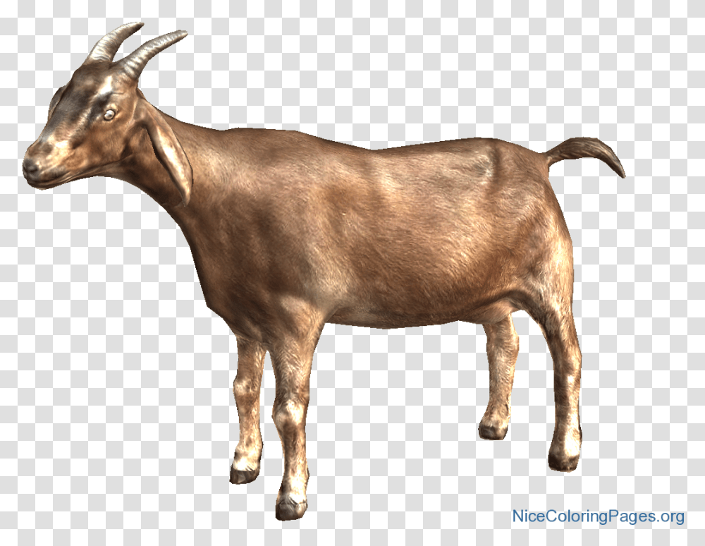 Goat Emoji Background Goat Clipart, Mammal, Animal, Mountain Goat, Wildlife Transparent Png