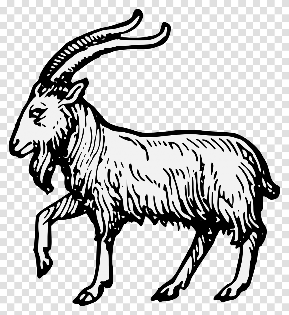 Goat Goat Passant, Animal, Mammal, Zebra, Wildlife Transparent Png