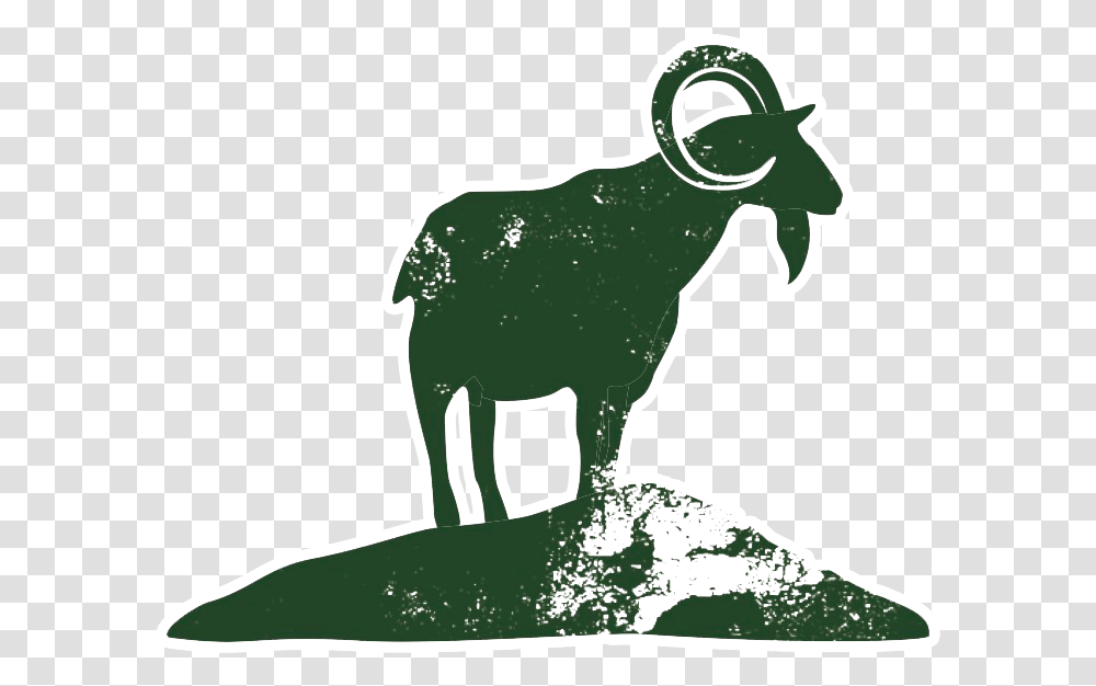 Goat Horns, Animal, Mammal, Wildlife, Kangaroo Transparent Png