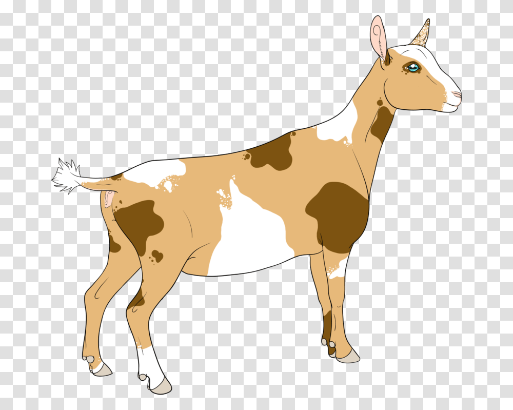 Goat Horns For Kids Nigerian Dwarf Goat Clipart, Mammal, Animal, Horse, Mountain Goat Transparent Png