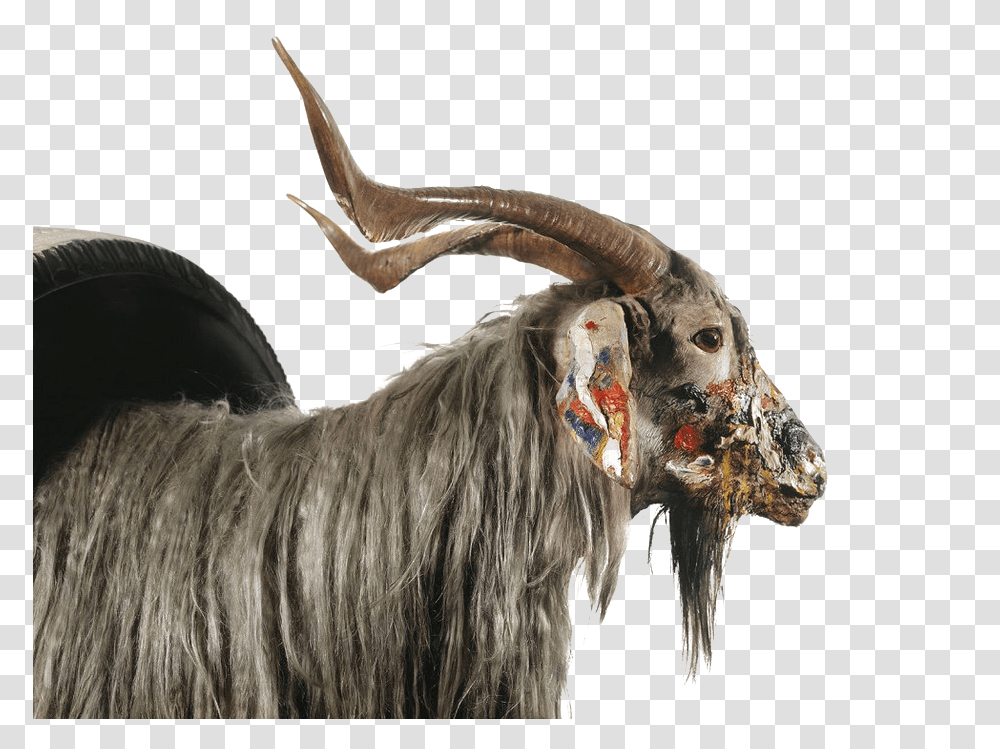 Goat Image Moderna Museet Get, Animal, Mammal, Horse, Antelope Transparent Png