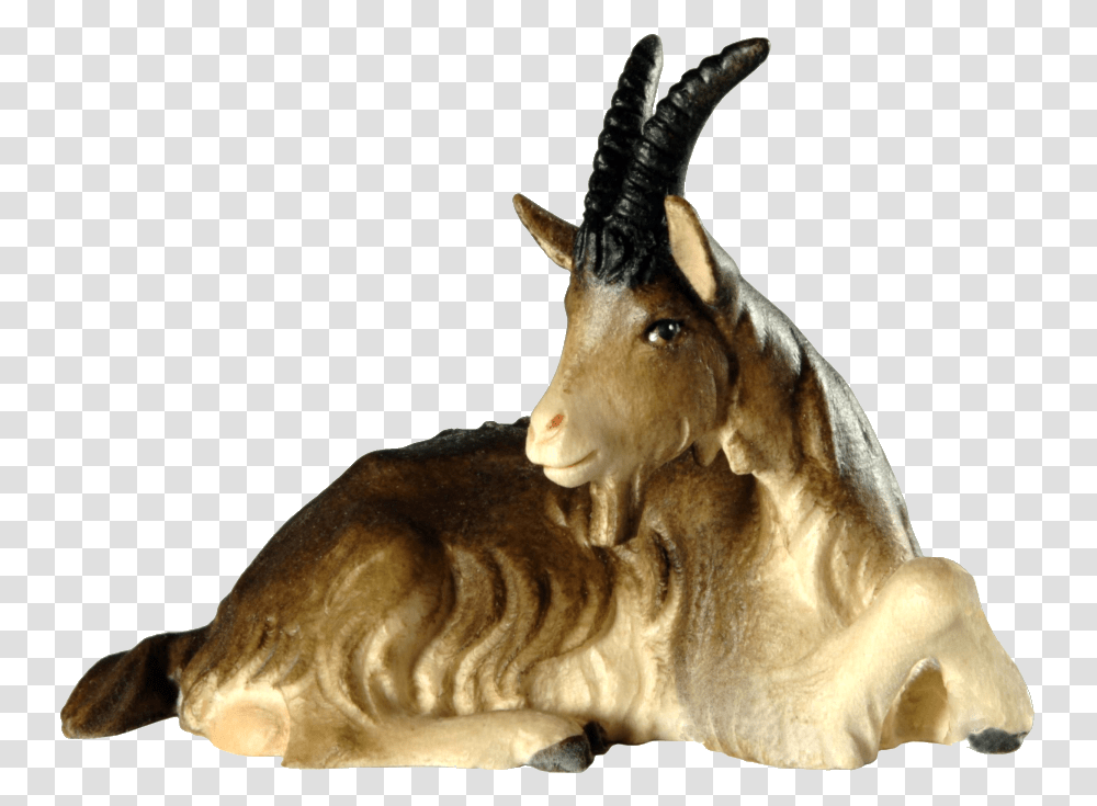 Goat Lying, Antelope, Wildlife, Mammal, Animal Transparent Png