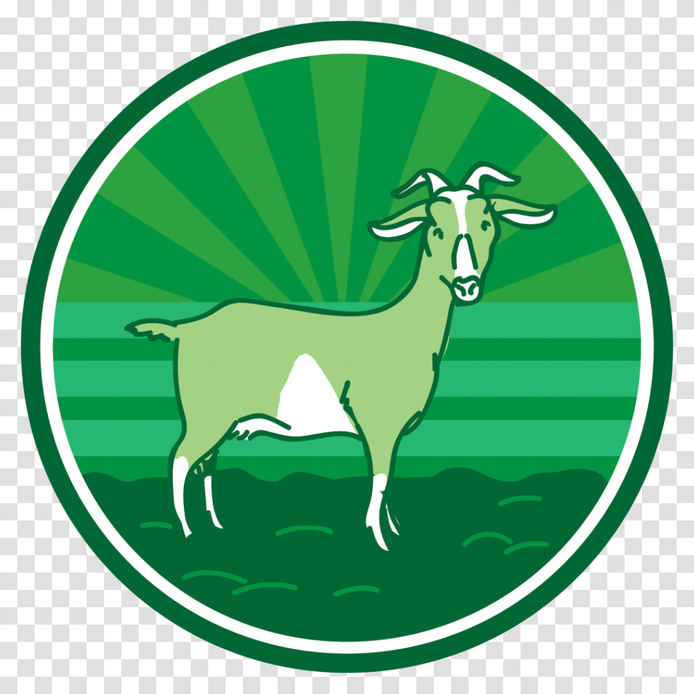 Goat, Mammal, Animal, Antelope, Wildlife Transparent Png