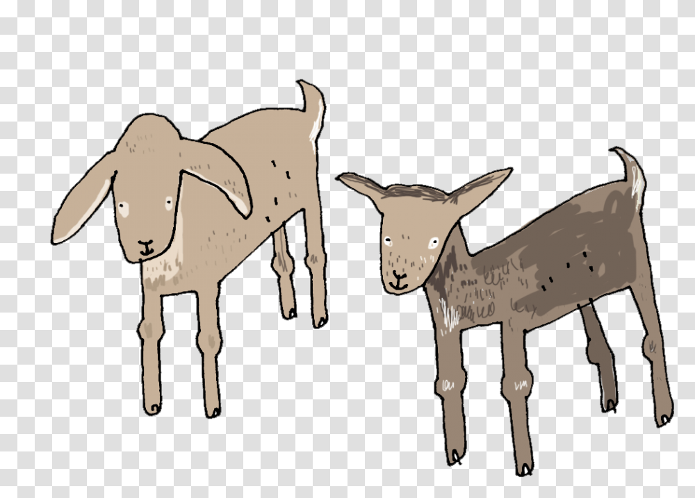 Goat, Mammal, Animal, Horse, Donkey Transparent Png