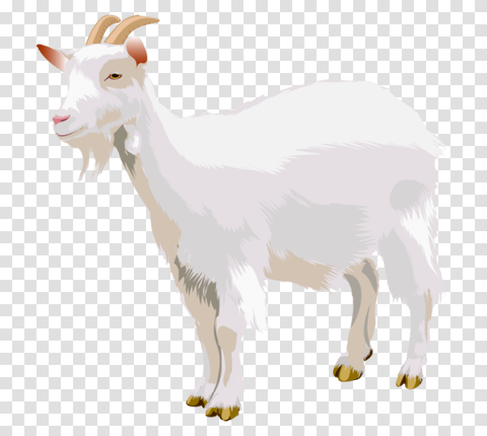 Goat, Mammal, Animal, Mountain Goat, Wildlife Transparent Png