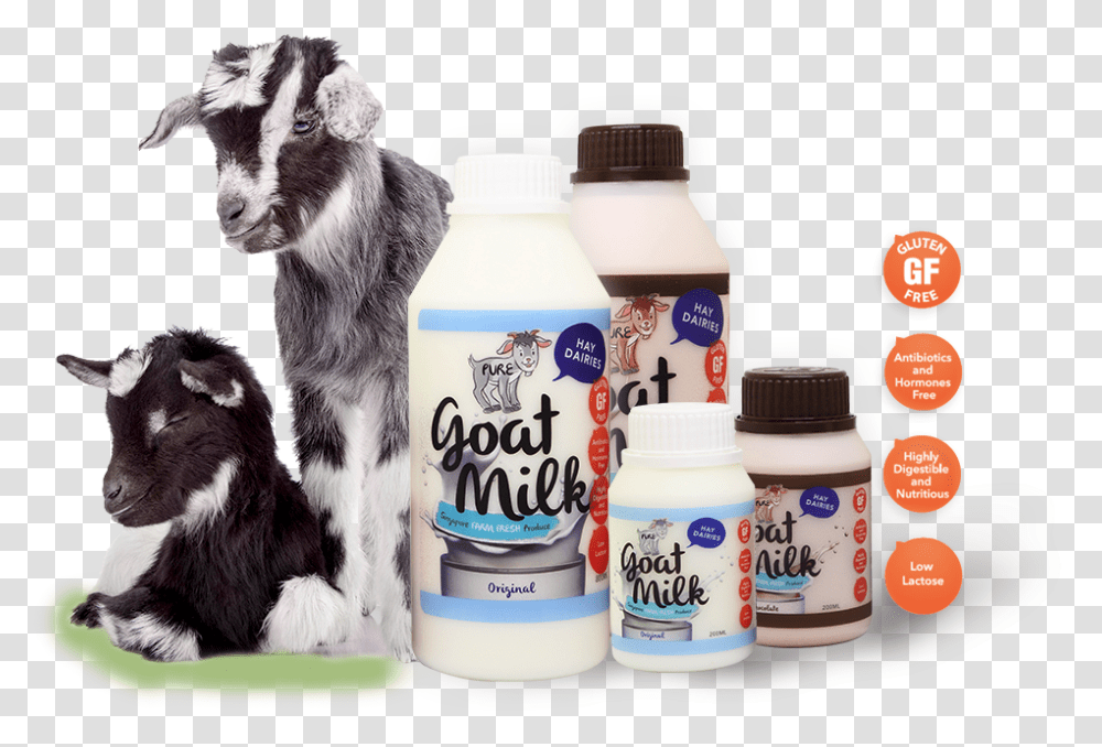 Goat Milk Dairy Farm, Dog, Pet, Canine, Animal Transparent Png