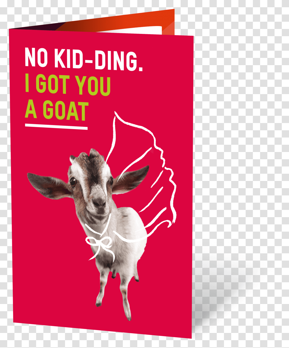 Goat No K Goat, Mammal, Animal, Antelope, Wildlife Transparent Png