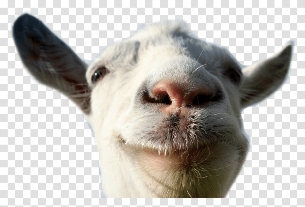 Goat Silhouette Goat Simulator Goat, Mammal, Animal, Dog, Pet Transparent Png
