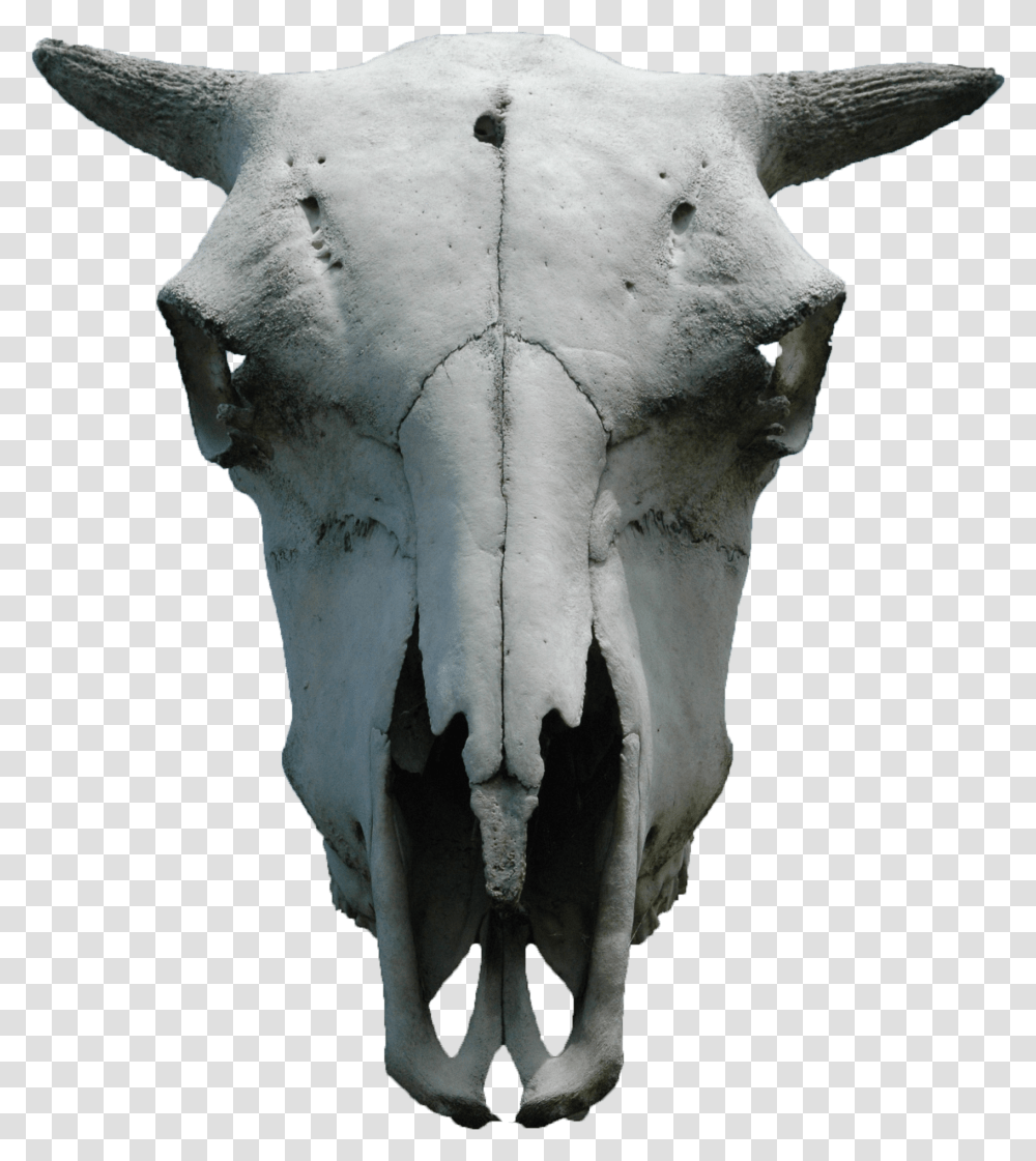 Goat Skull Animal Skull, Archaeology, Sculpture, Torso Transparent Png