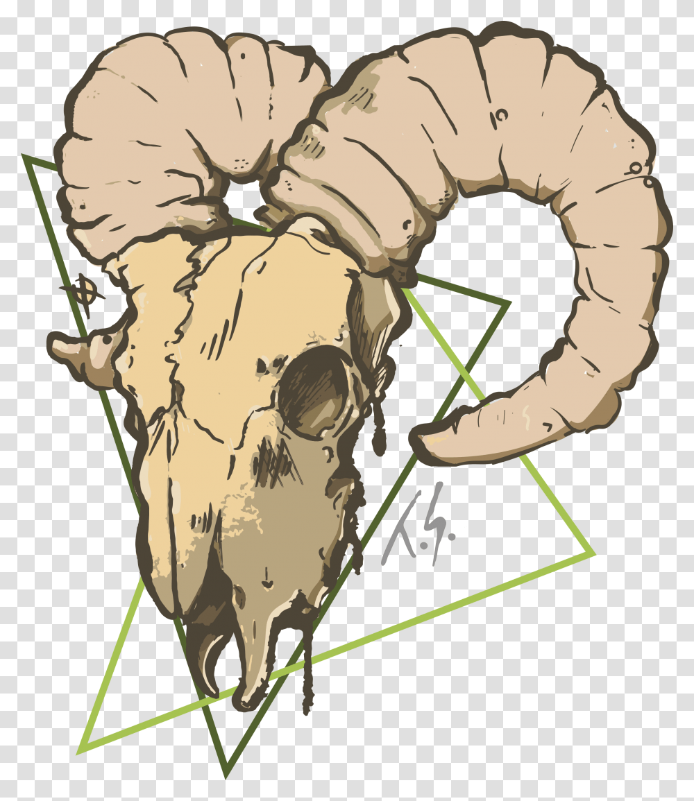 Goat Skull Clipart Illustration, Animal, Mammal, Invertebrate, Head Transparent Png