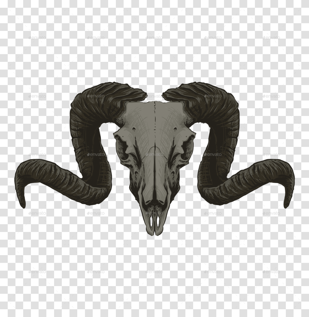Goat Skull Goat Skull, Person, Human, Diagram, X-Ray Transparent Png