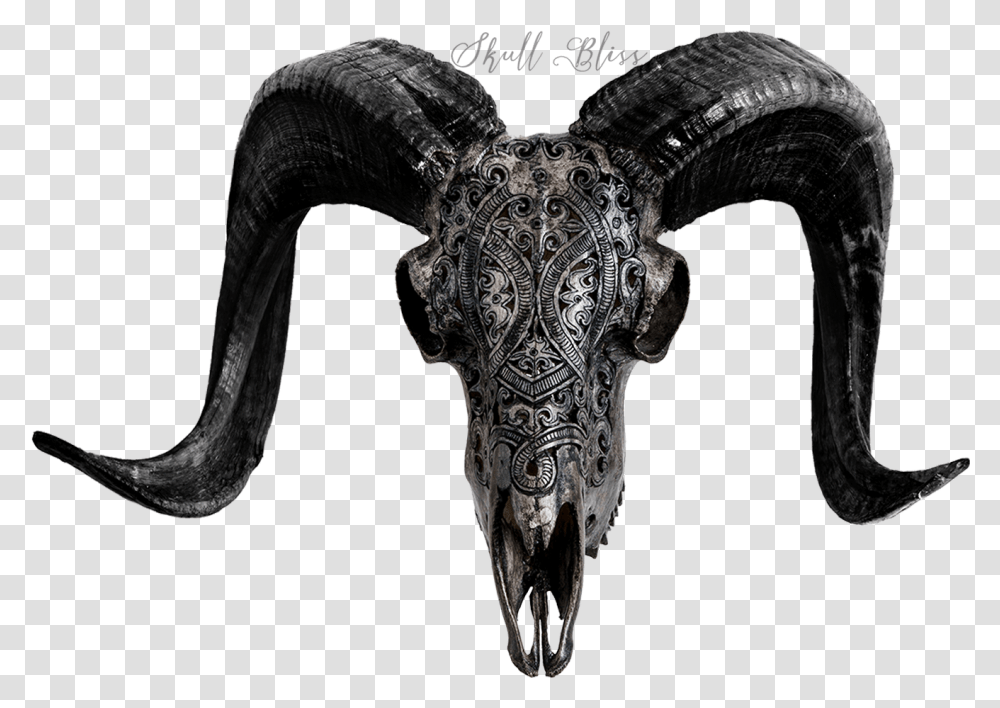 Goat Skull Horn, Mammal, Animal, Bull, Wildlife Transparent Png