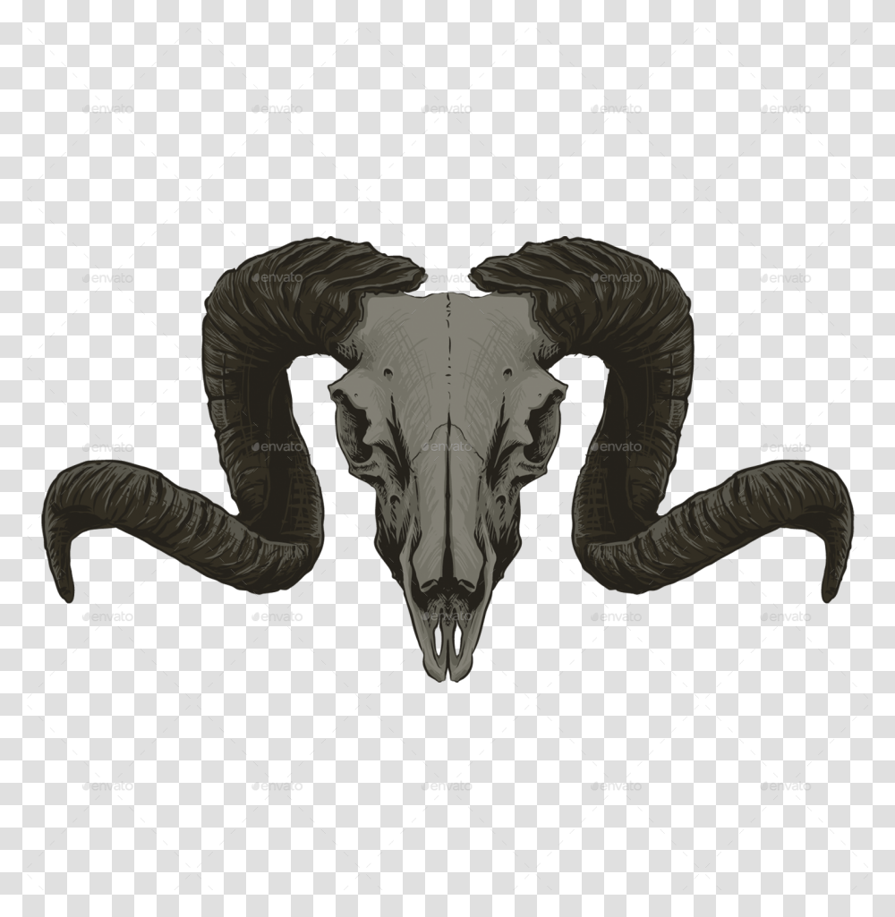 Goat Skull, Person, Human, Diagram, X-Ray Transparent Png