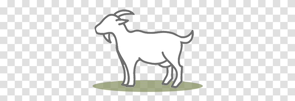 Goat Standards & Application Global Animal Partnership One Line Animal, Mammal, Wildlife, Mountain Goat, Antelope Transparent Png